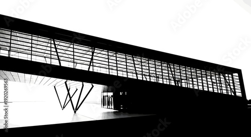 Modern bridge structure with distinctive architectural design in monochrome