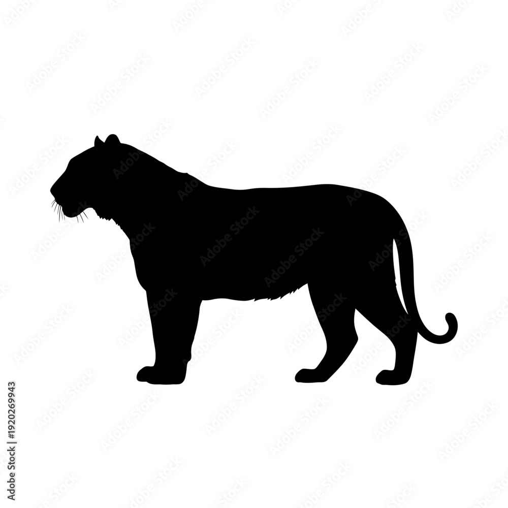 Obraz premium Black silhouette of a tiger standing profile against a white background.