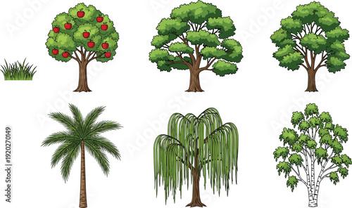 Vector set of various trees including a red apple fruit tree, palm tree, weeping willow, birch tree, and green oak trees isolated on white background.