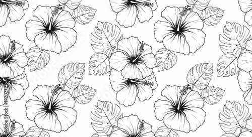 Black and white flower line art.