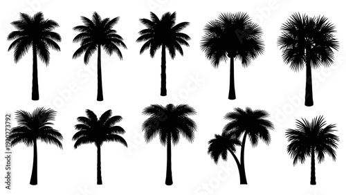 Collection of Silhouetted Palm Trees.