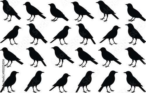 "Set of black bird silhouettes arranged in grid format, identical shorebird icons facing right, ideal for wildlife design, nature illustration, and creative projects"