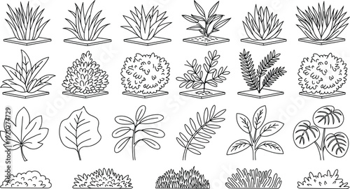 Hand drawn garden plants, leaves and shrubs outline collection with decorative foliage elements isolated on white background for landscaping and botanical design