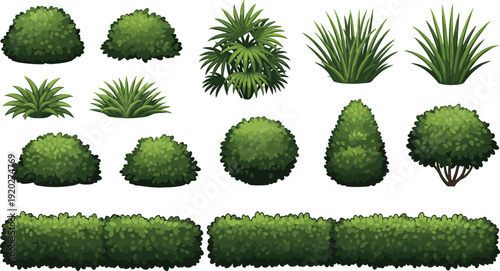 Green bush and shrub collection isolated on white background, decorative garden hedge plants set for landscape design, flat vector illustration