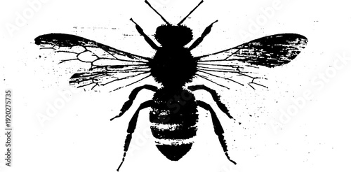 Minimalist high contrast bee ink sketch for design projects