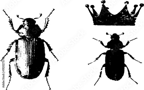 Royal beetle silhouette with crown in vintage black and white ink design