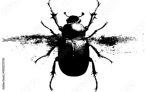 High contrast ink illustration of beetle with decorative banner design