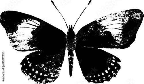 High contrast black and white ink butterfly with starburst effect - retro design for art prints