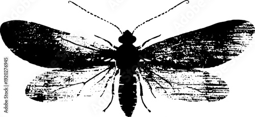 Minimalist high contrast firefly ink art silhouette for nature and design inspiration