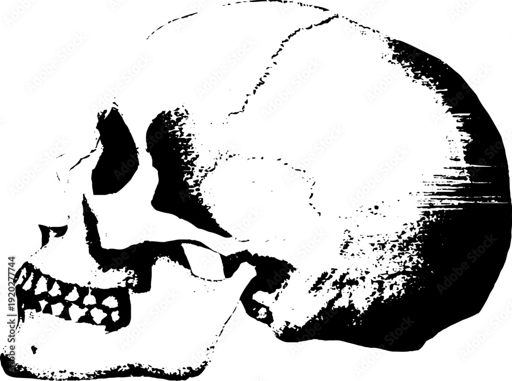 Obraz premium High contrast hooded skull ink art - perfect for halloween decor and tattoo designs