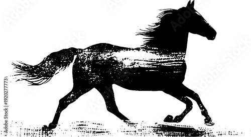 High contrast black and white horse emblem with banner design