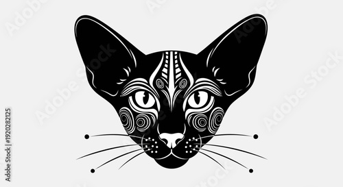 A black cat's face with intricate designs on its fur is viewed directly from the front with a clean white backdrop.