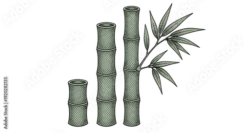 Illustration of bamboo stalks with leaves, showcasing their varying heights and textures from a straight-on viewpoint