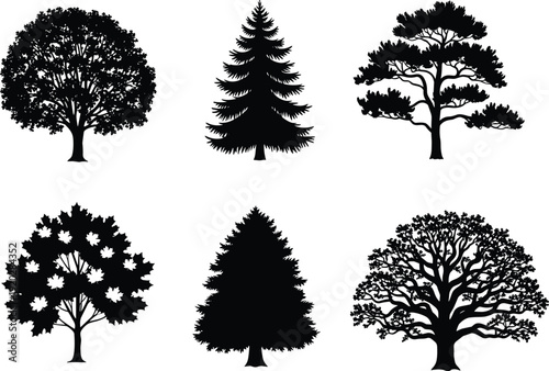 Black tree silhouettes collection, diverse foliage patterns, deciduous and coniferous species, botanical illustration set, nature design elements, educational and decorative vector art