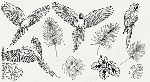 Parrots in flight surrounded by tropical leaves and flowers, illustrated in black and white, from a direct viewpoint.