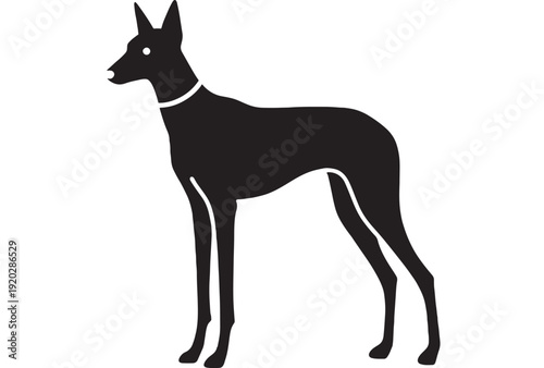 Dog silhouette standing with sleek profile and collar detail, simple vector artwork featuring animal, canine, pet with domestic and graphic elements for illustration, monochrome projects, clean