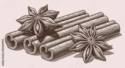 Illustration of cinnamon sticks and star anise arranged together in a detailed drawing, viewed from above