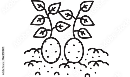 Potato plants line icon with underground tubers in soil, simple black outline doodle for farming, agriculture, gardening, organic vegetable harvest and food growth concept
