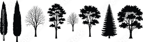 Set of black tree silhouettes including pine cypress oak and winter deciduous branches isolated on white background cad drawing flat vector illustration,