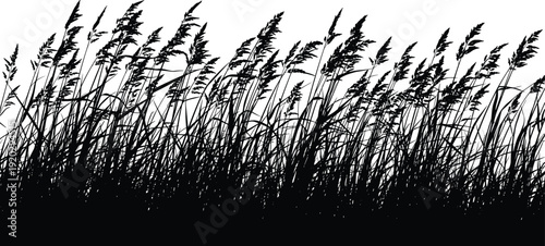 Set of black wild grass silhouettes with long leaves and tall reeds for nature landscape designs cad drawing flat vector illustration,