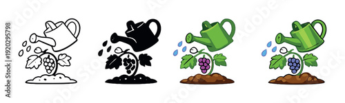 Watering can pouring droplets on grape seedling in soil