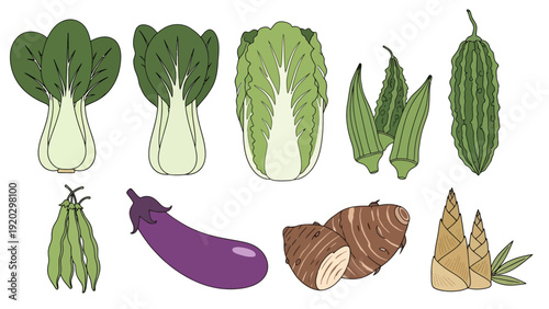 Collection of Various Hand-Drawn Asian Vegetable Illustrations Featuring Bok Choy, Chinese Cabbage, Okra, Bitter Melon, Green Beans, Eggplant, Taro, and Bamboo.