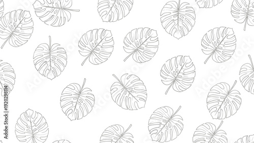 Minimalist seamless pattern of scattered tropical monstera leaves in a delicate black and white line art style on a plain background.