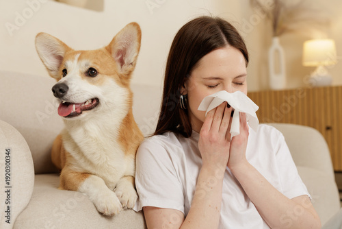 Vászonkép Woman sneezing into tissue while sitting beside corgi on sofa