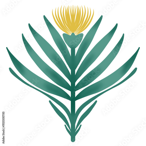 Botanical illustration of  yellow flower with long, pointed green leaves.