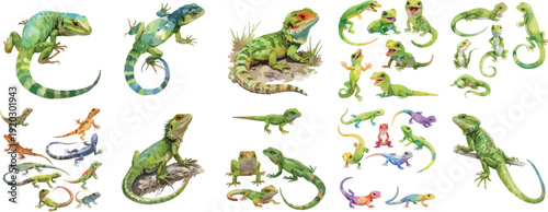 Watercolor Green Iguana and Lizard Clipart Set
