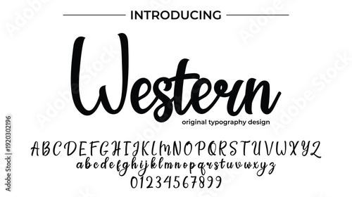 Western - Elegant Script Font for Smooth Handwritten Design and Creative Typography