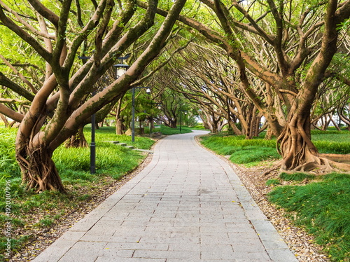 Autumn landscape of a Chinese park. Landscape of banyan park. China. Wenzhou.