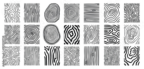 Wood lines texture material doodle hand drawn line set. Rings and circles tree trunk geometric curve, wave contour. 