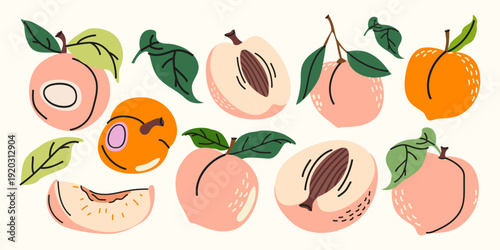 Set of vector juicy peaches set in different forms. Whole ripe peaches with pits and green leaves. Vibrant summer fruit collection for organic food packaging, stickers and healthy lifestyle project