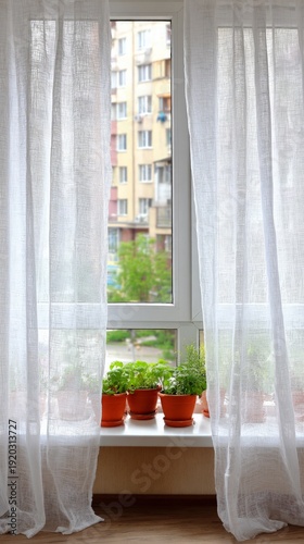 Potted plants on windowsill with sheer curtains and apartment building view