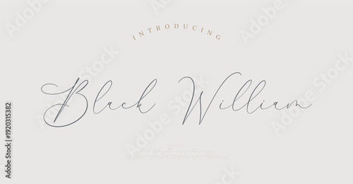 Black William, Abstract Script Fashion font alphabet. Minimal modern urban fonts for logo, brand etc. Typography typeface uppercase lowercase and number. vector illustration
