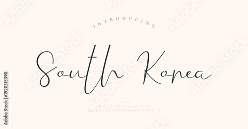 South Korea, Script Font, aesthetic, Uppercase Lowercase and Number. wedding font, Classic Lettering Minimal Fashion Designs. Typography modern serif fonts regular decorative vintage concept. vector i