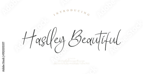 Haslley Beautiful, Script Elegant alphabet letters font logo classic minimal fashion designs. Typography modern sans fonts and number for logo brand. vector illustration
