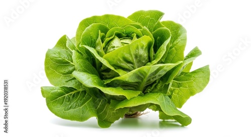 Fresh, vibrant green butter lettuce head with water droplets, isolated on a white background. Perfect for healthy eating and salads.