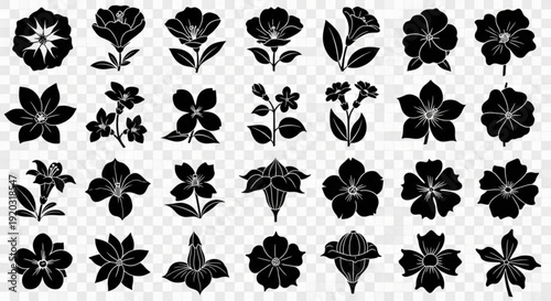 Collection of black floral silhouettes on transparent background for design and decoration