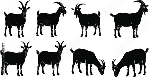 Goat silhouette illustration set, standing and grazing poses with horns and beards, farm animal and agricultural theme - flat vector illustration