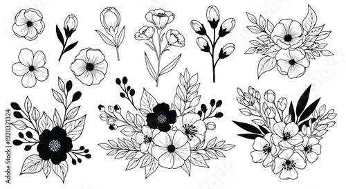 Elegant Hand-Drawn Floral Elements Collection.