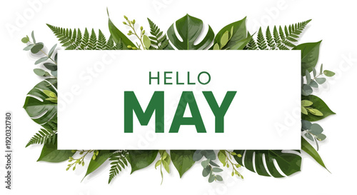 Hello May Text with Green Leaves.