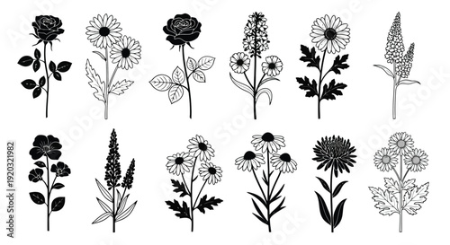 Collection of Hand-Drawn Botanical Floral Illustrations.
