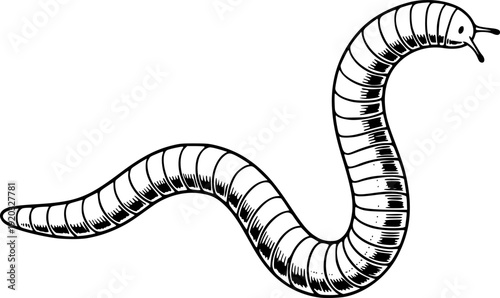 Stylized ink drawing of an earthworm, conveying simplicity and n
