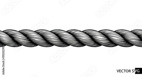 Twisted Rope Seamless Pattern - Vintage Illustration