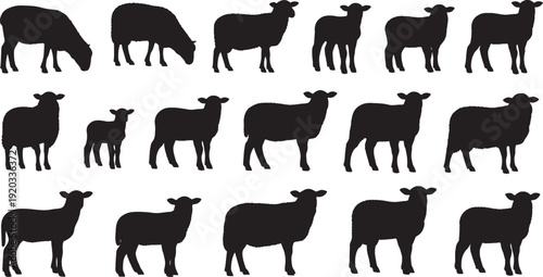 Grid of Black Cow Silhouette Arranged in Four Rows Highlighting Varied Pose Directions Simple Minimalist Illustration