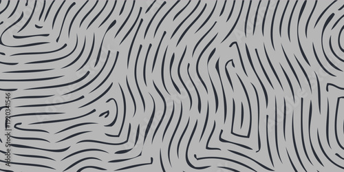 Abstract Pattern of Wavy Black Lines on Gray Background.