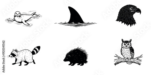 Black and white illustrations of six different animal silhouettes