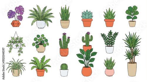 collection of various potted plants and succulents in different pots